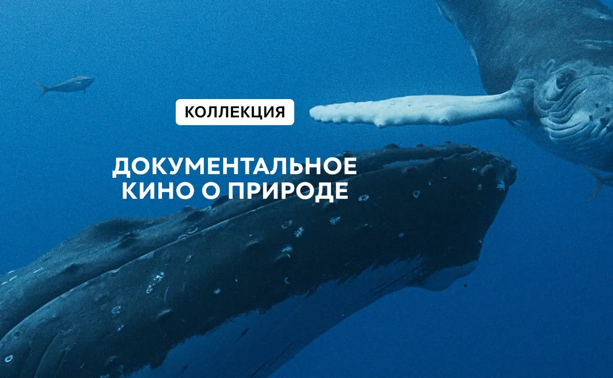 документальный